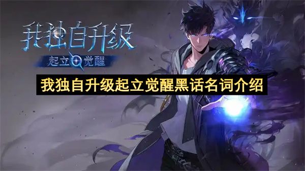 我独自升级：起立觉醒黑话全解析