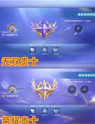 王者荣耀V10荣耀贵族要多少钱?达成条件有哪些?-王者荣耀V10荣耀贵族与无双贵族标志图对比 王者荣耀V10荣耀贵族要多少钱?达成条件有哪些?-王者荣耀V10荣耀贵族与无双贵族标志图对比