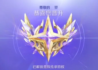 王者荣耀V10荣耀贵族价格及条件-V10荣耀贵族与无双贵族标志区别