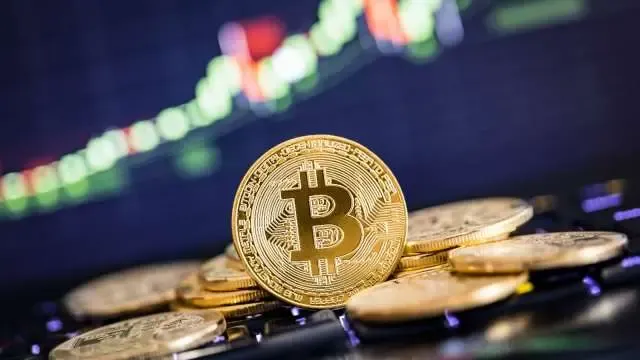 最强祖师凤里栖功法搭配攻略-最强祖师凤里栖功法最佳组合