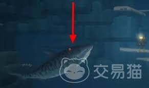 潜水员戴夫中虎鲨怎么打